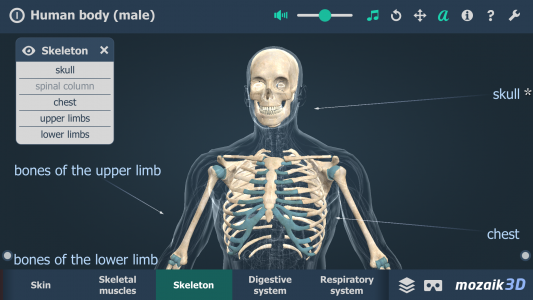اسکرین شات برنامه Human body (male) 3D scene 3