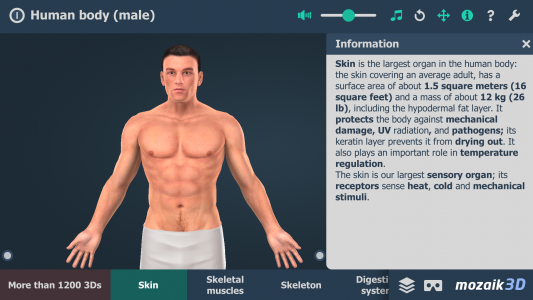 اسکرین شات برنامه Human body (male) 3D scene 1