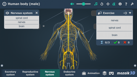 اسکرین شات 5 برنامه Human body (male) 3D scene