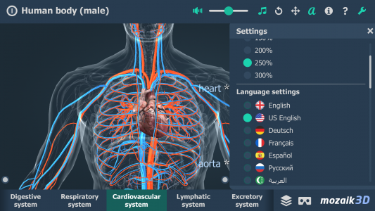 اسکرین شات 2 برنامه Human body (male) 3D scene