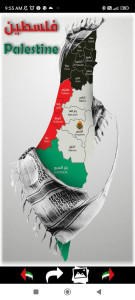 اسکرین شات برنامه Palestine Wallpapers 2024 7