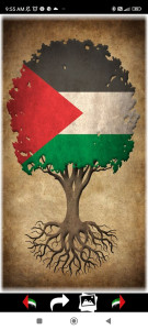 اسکرین شات برنامه Palestine Wallpapers 2024 6