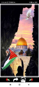اسکرین شات برنامه Palestine Wallpapers 2024 4