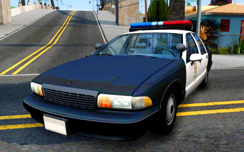 اسکرین شات بازی Police Car Games Car Simulator 7