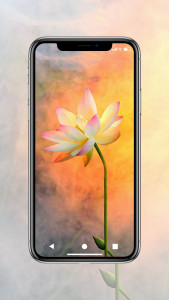اسکرین شات 2 برنامه Flower Wallpaper HD