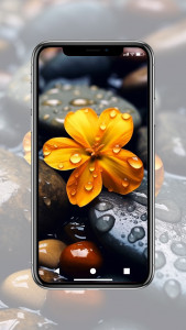 اسکرین شات 4 برنامه Flower Wallpaper HD
