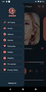 اسکرین شات برنامه Roar Music Player 5