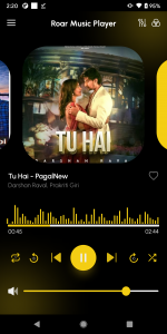 اسکرین شات برنامه Roar Music Player 6