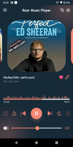 اسکرین شات 1 برنامه Roar Music Player