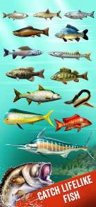 اسکرین شات بازی Fishing Club: The Big Catch 2