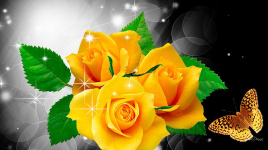 اسکرین شات برنامه Flower Rose Live Wallpaper Gif 2