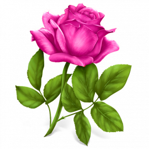 اسکرین شات برنامه Flower Rose Live Wallpaper Gif 1