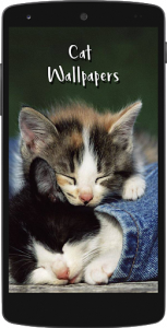 اسکرین شات برنامه Cute Cat HD Wallpapers 7