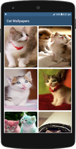اسکرین شات برنامه Cute Cat HD Wallpapers 8
