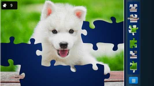 اسکرین شات 8 بازی Jigsaw Puzzles: Picture Puzzle