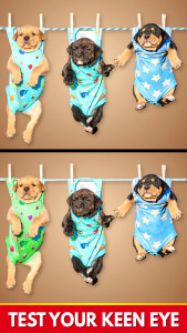 اسکرین شات 3 بازی Find The Differences - Spot it