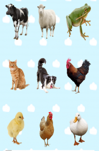اسکرین شات بازی آموزش حیوانات به کودکان 1