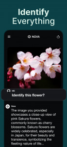 اسکرین شات برنامه AI Chatbot - Nova 6