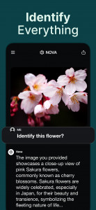 اسکرین شات برنامه AI Chatbot - Nova 5