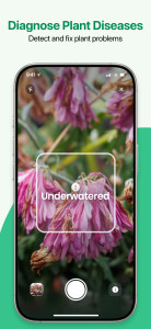 اسکرین شات 2 برنامه Plant App - Plant Identifier