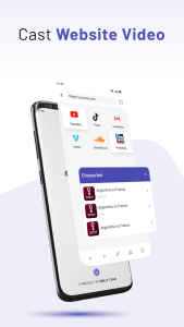 اسکرین شات 7 برنامه Cast to TV & Screen Mirroring