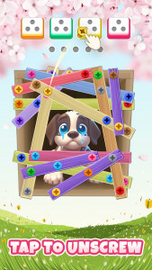 اسکرین شات بازی Puppy Screw Color: Nuts Master 1