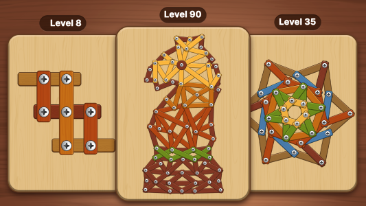 اسکرین شات 5 بازی Screw Challenge: Nuts & Bolts