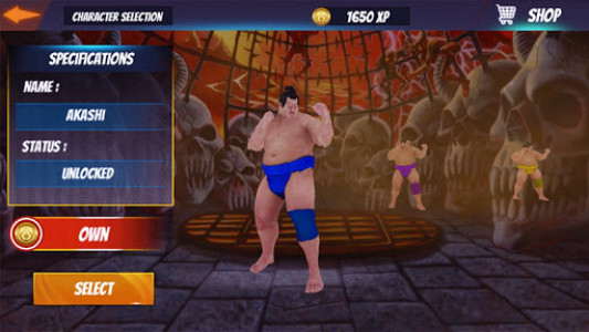 اسکرین شات بازی Sumo Wrestling Fight Arena 5