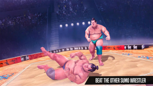 اسکرین شات بازی Sumo Wrestling Fight Arena 3