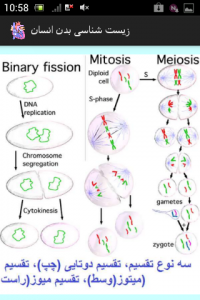 اسکرین شات برنامه زیست شناسی بدن انسان 8
