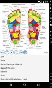 اسکرین شات برنامه Foot Reflexology Chart 1