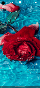 اسکرین شات 6 برنامه Flower Wallpapers - Flowrify