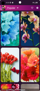 اسکرین شات برنامه Flower Wallpapers - Flowrify 6