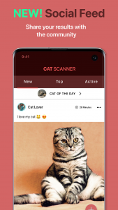 اسکرین شات 4 برنامه Cat Scanner: Breed Recognition