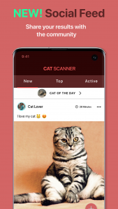 اسکرین شات برنامه Cat Scanner: Breed Recognition 4