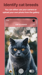 اسکرین شات برنامه Cat Scanner: Breed Recognition 1