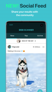 اسکرین شات برنامه Dog Scanner: Breed Recognition 4