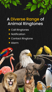 اسکرین شات برنامه Animal Ringtones 6