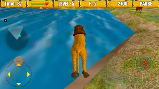 اسکرین شات بازی Wild Lion Simulator Game 8