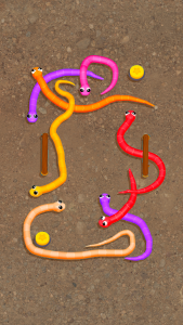 اسکرین شات بازی Snake Knot: Sort Puzzle Game 7