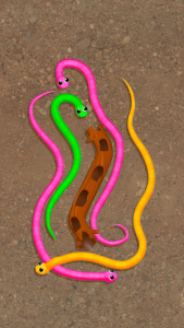 اسکرین شات بازی Snake Knot: Sort Puzzle Game 1