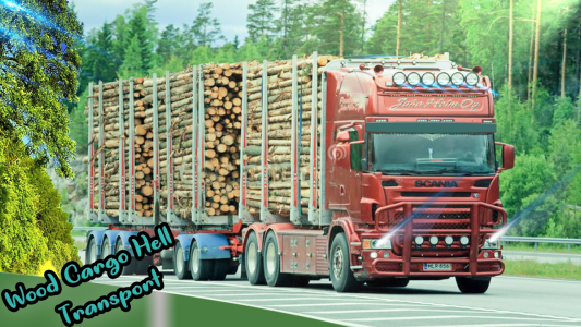 اسکرین شات بازی Pk Wood Cargo Truck Driver 4