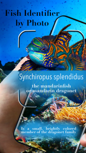 اسکرین شات 1 برنامه Aquarium fish