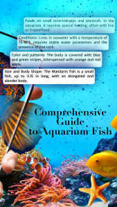 اسکرین شات 2 برنامه Aquarium fish