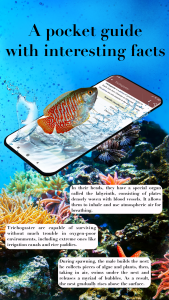 اسکرین شات 6 برنامه Aquarium fish