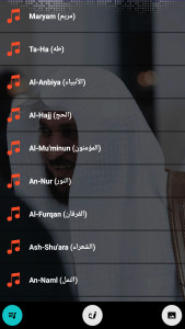 اسکرین شات 4 برنامه قرأن كامل ماهرالمعيقلي بدون نت