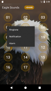 اسکرین شات برنامه Eagle Sounds and Ringtone 3