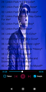 اسکرین شات برنامه Linkin Park All Songs Offline 3