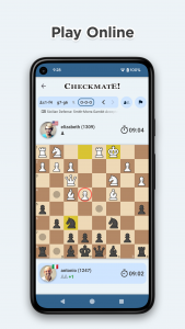 اسکرین شات بازی Chess 3