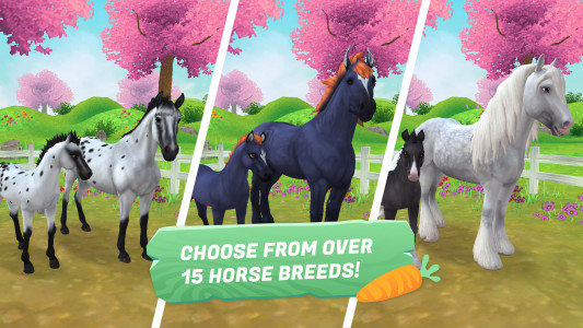 اسکرین شات بازی Star Stable Horses 2